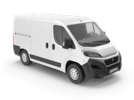 category-selection/input-81